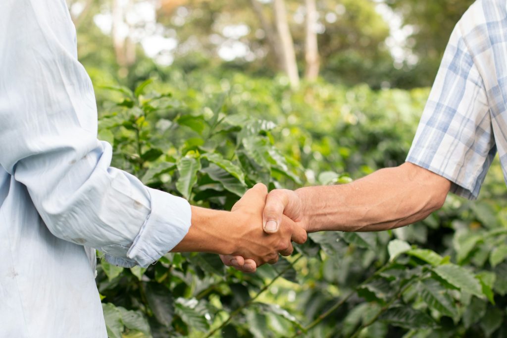 Two farmers shake hands and close a business deal, surrounded by coffee crops.